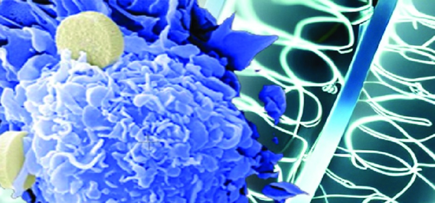 Chugai Gets Approval for Cancer Genomic Profile